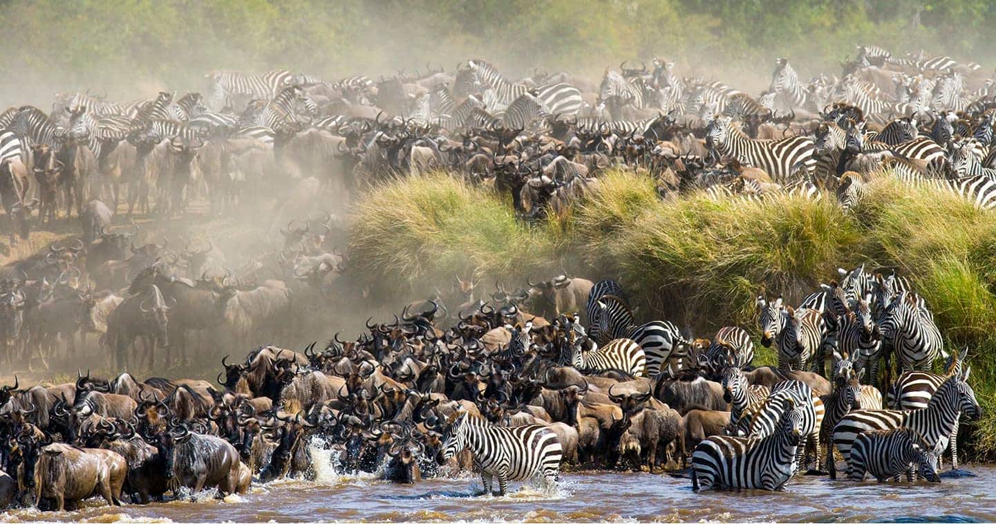 SlideShow Image number: 2 Wild Places - 10 Interesting Facts About Serengeti National Park
