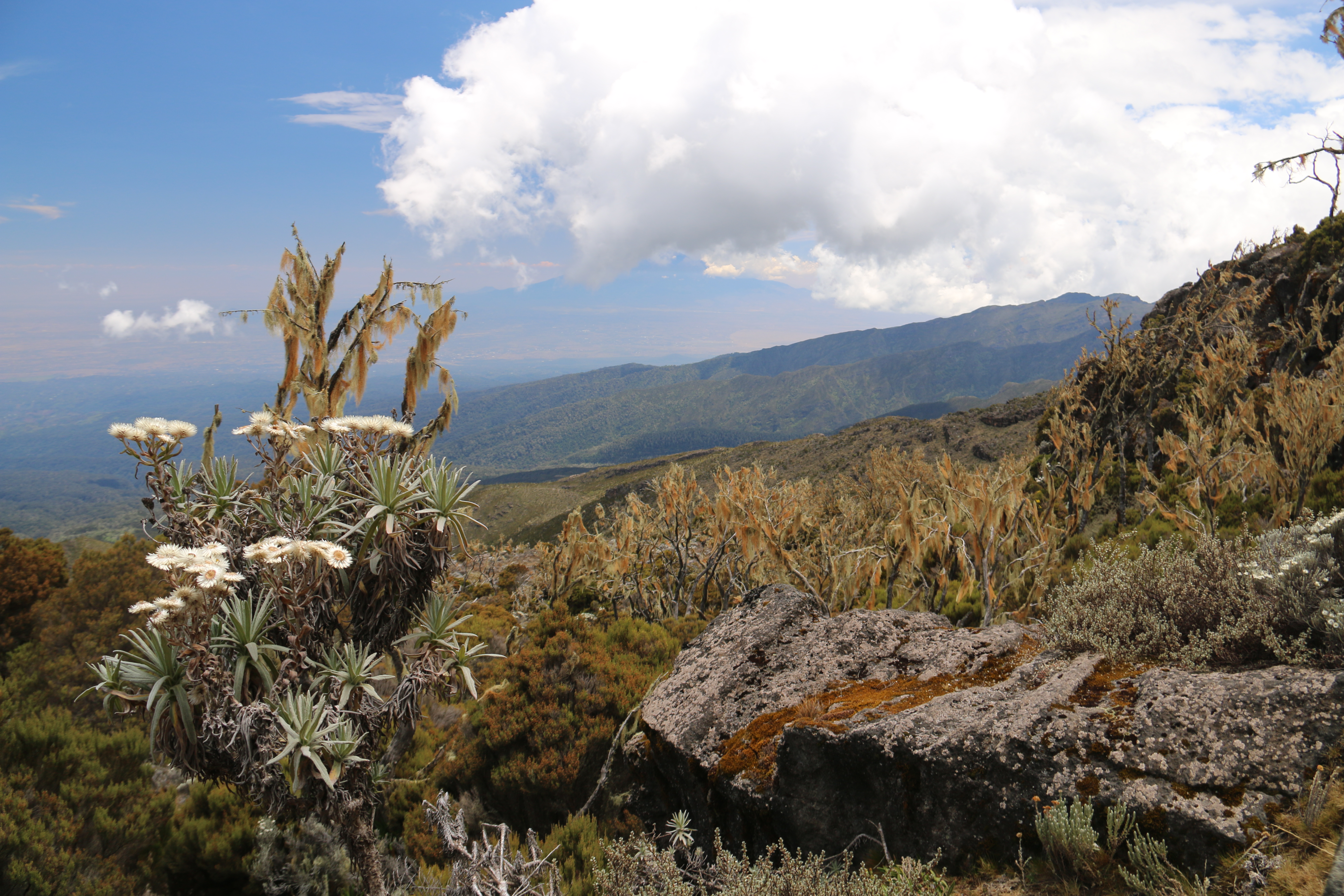 SlideShow Image number: 4 Kilimanjaro  - Which is the Most Scenic Kilimanjaro Climbing Route?