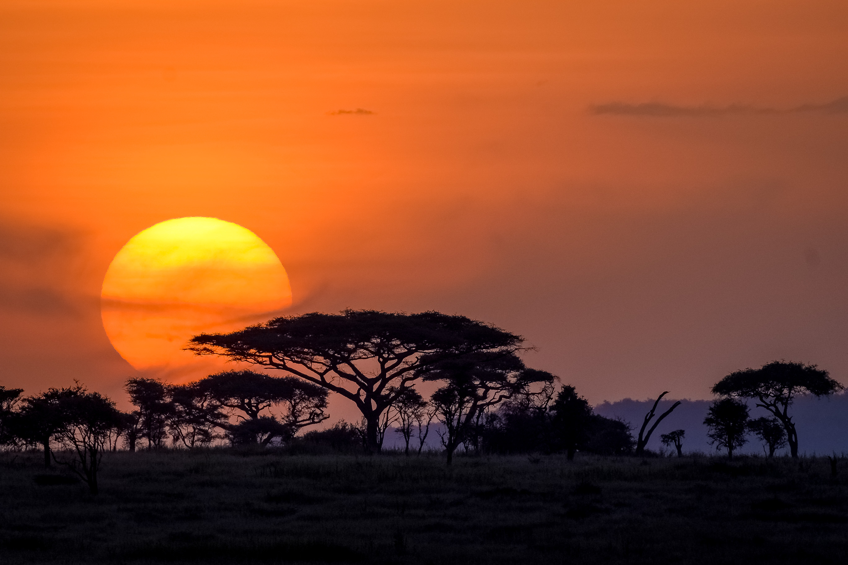 Image Slider No: 2 3 Days Fantastic Tanzania Lodge Safari