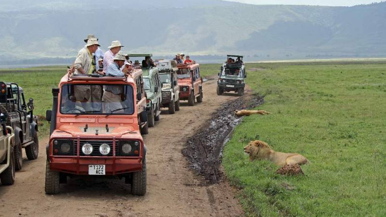 Image Slider No: 3 Ngorongoro Crater Day Tour Safari