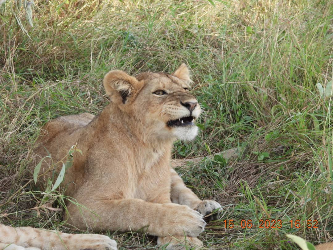 Image Slider No: 8 8 Day Sky & Savannah Safari Experience