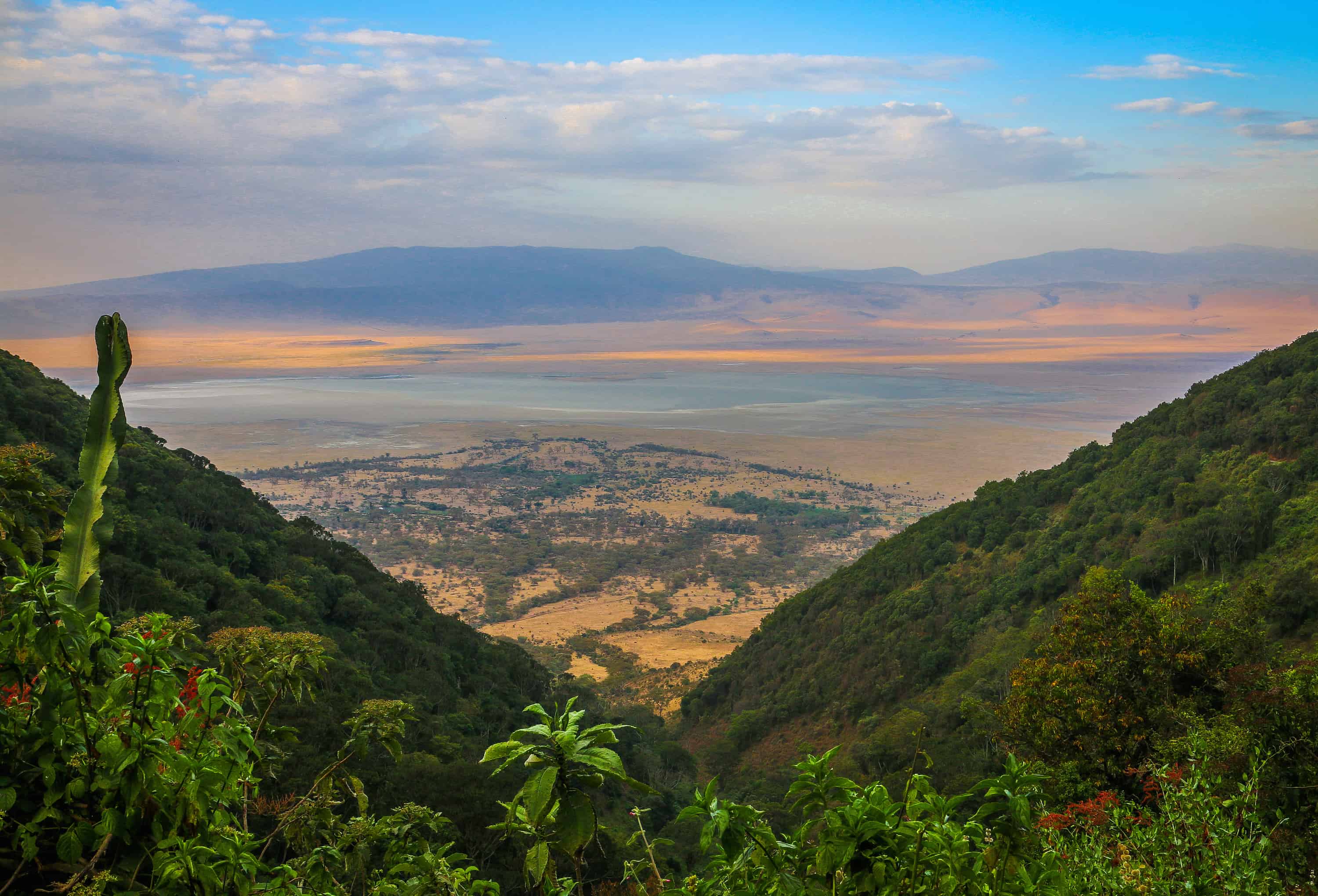 Image Slider No: 2 7 Days Luxury Tanzania Safari