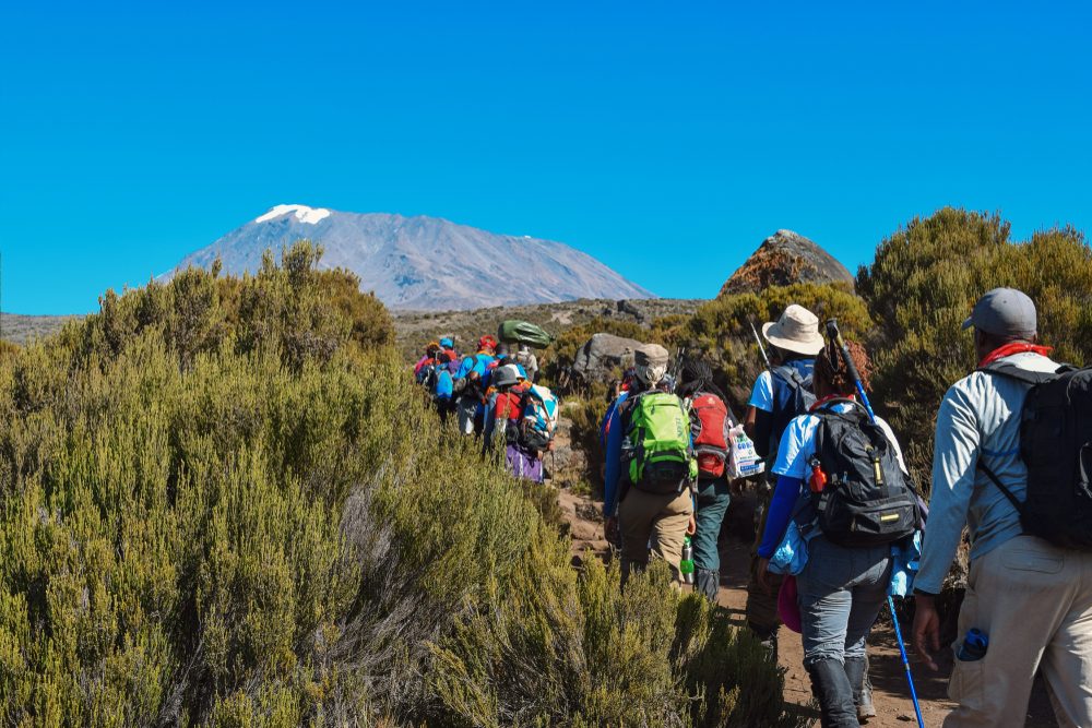SlideShow Image number: 4 Kilimanjaro  - The Ultimate Adventure - Climbing Kilimanjaro and Safari in Tanzania