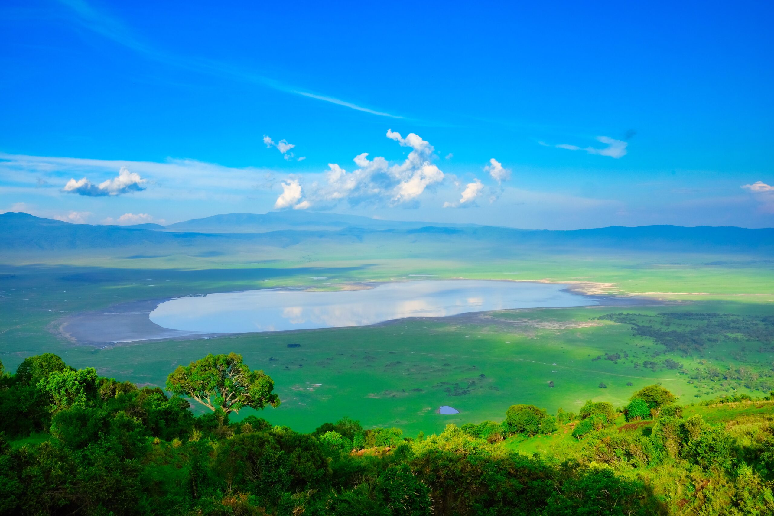 Image Slider No: 4 Ngorongoro Crater Day Tour Safari