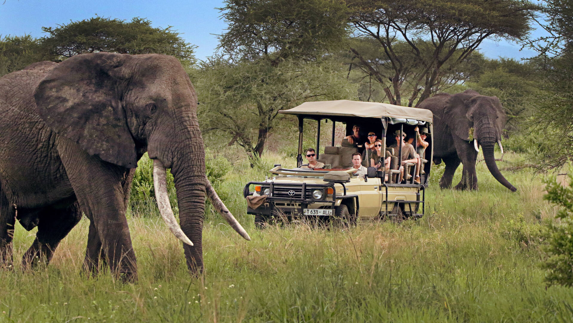 SlideShow Image number: 8 Travel Tips - Discovering the Wonders of Tanzania's Northern Circuit Safari: A Journey of Awe and Amazement