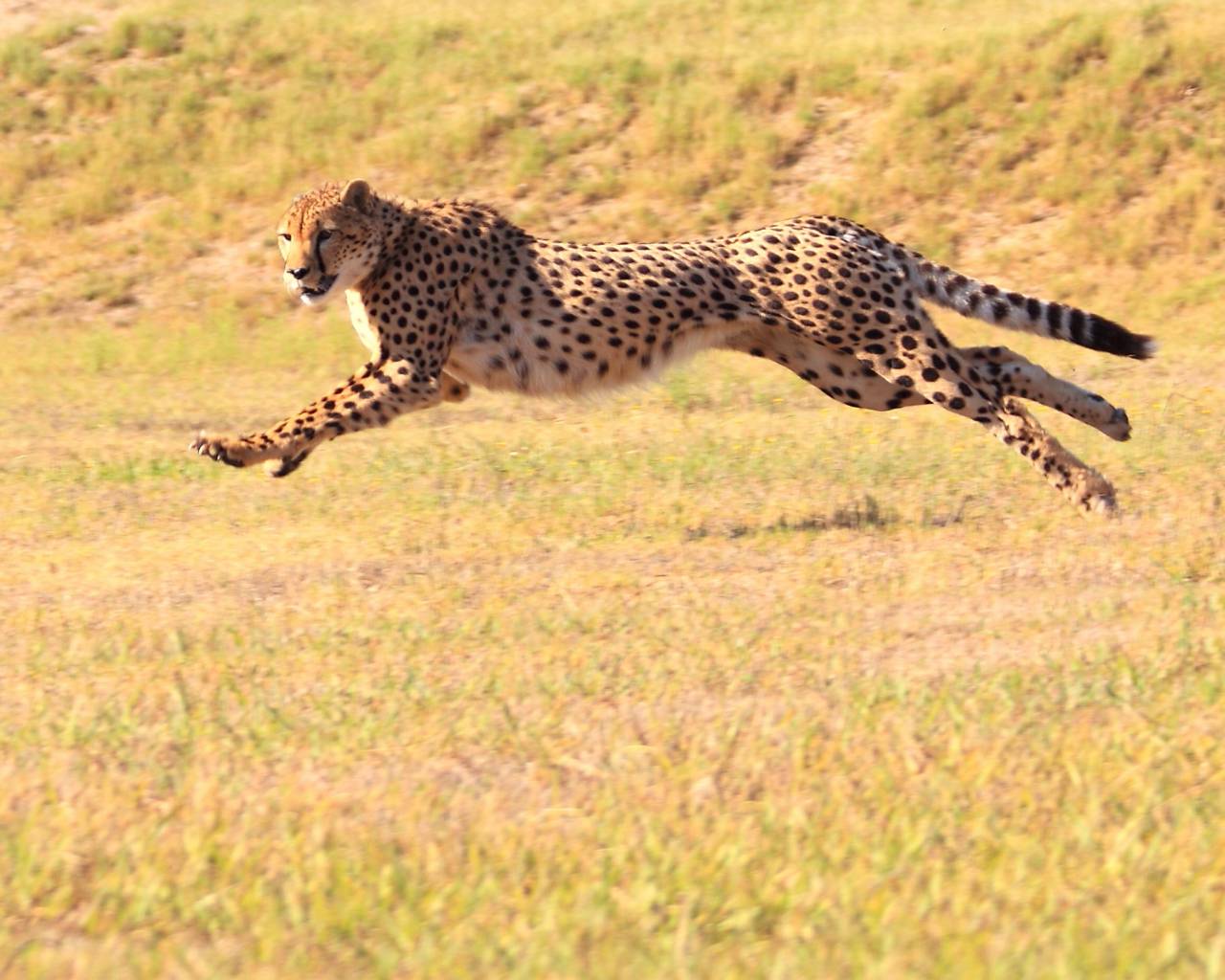 Image Slider No: 4 Where to Go in Tanzania