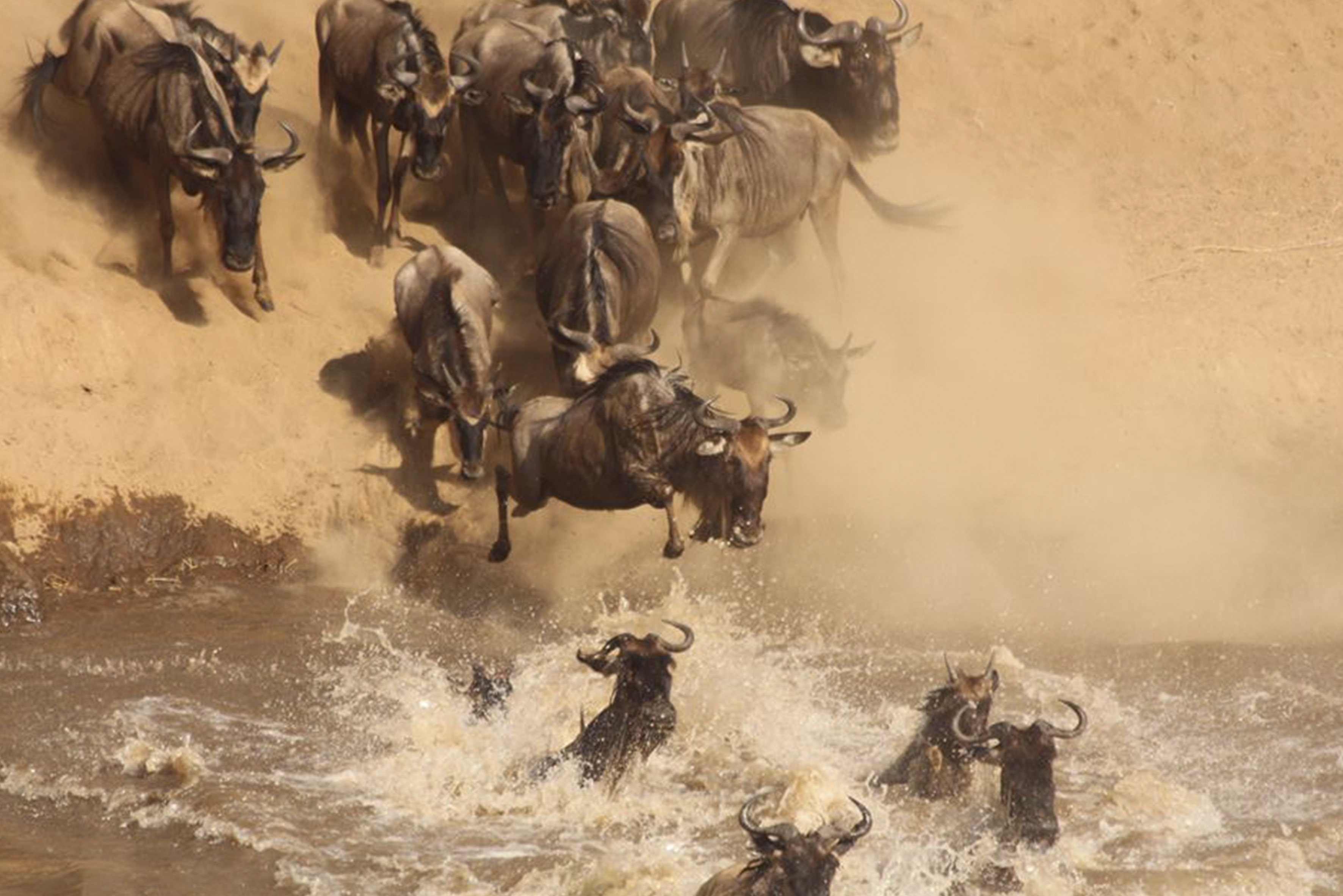 SlideShow Image number: 4 Travel Tips - Is Kenya or Tanzania Safari Better? Here’s Why Tanzania Takes the Crown