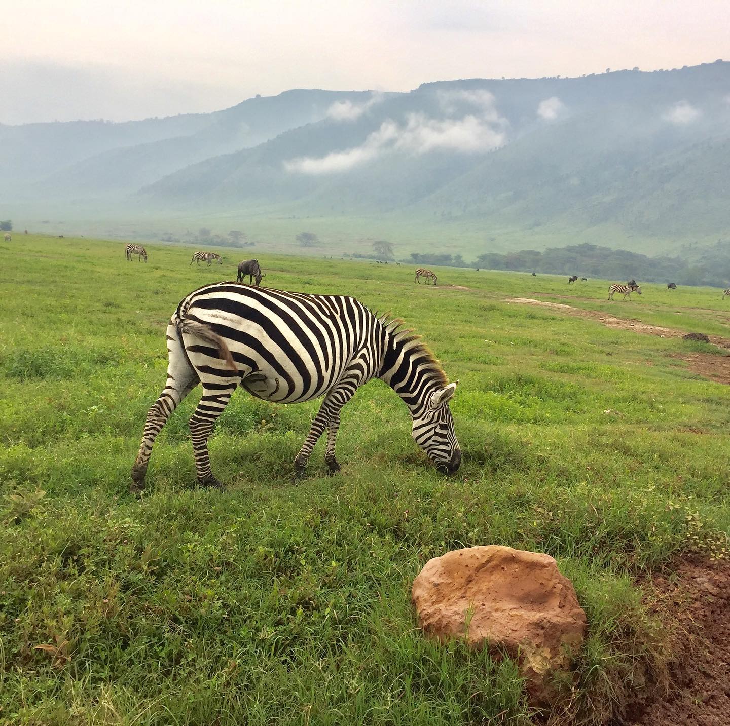 Image Slider No: 4 6-Day Budget Camping Safari in Tanzania – Tarangire, Serengeti & Ngorongoro