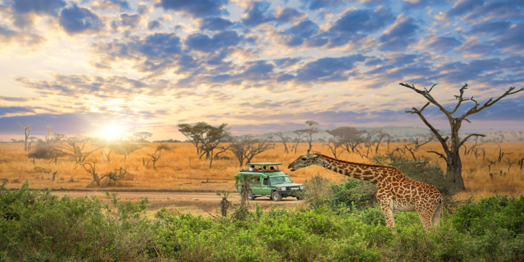 Explore the Marvels of Tanzania Holidays: Top 10 Destinations