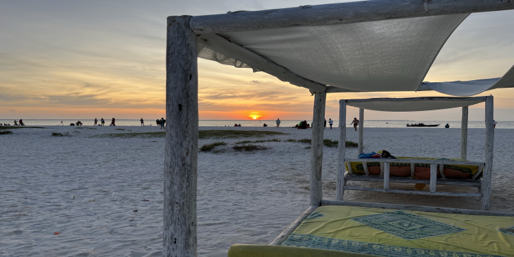 How to find Things & Places to Visit in Zanzibar Island