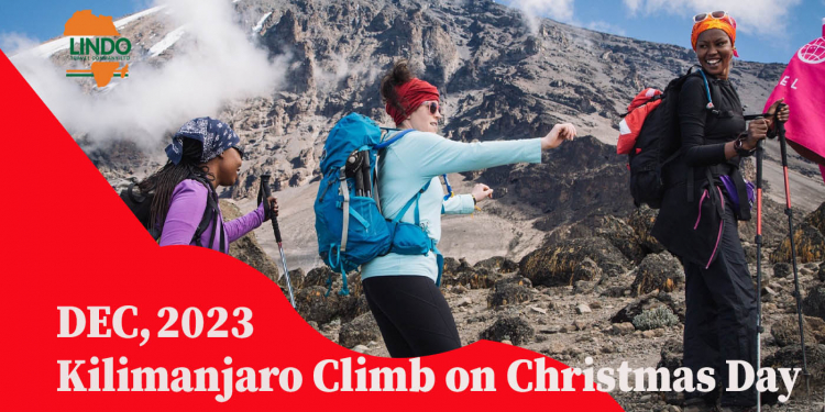 Conquering Kilimanjaro Together: A Memorable Christmas Group Climb