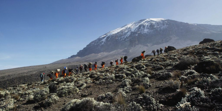 Embarking on an Unforgettable Adventure: The Lemosho Route Expedition to Mount Kilimanjaro