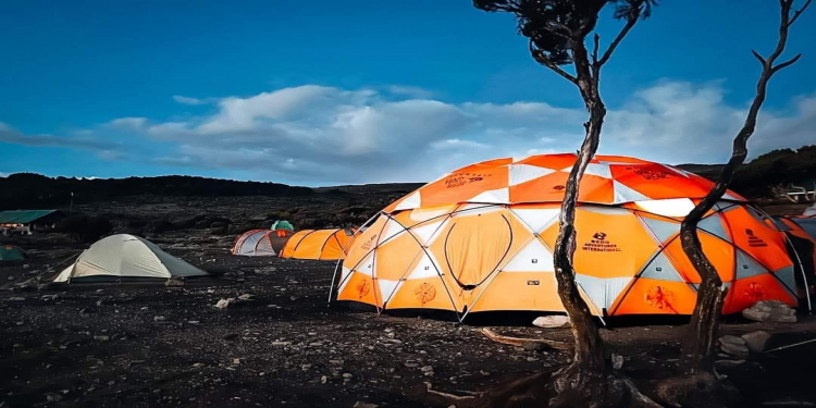 Why Should You Join A Kilimanjaro Climbing Join Group?