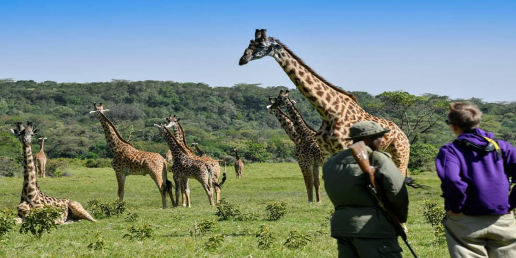 Arusha National Park: A Hidden Gem in Tanzania's Wildlife Wonderland