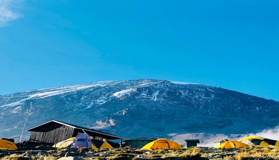 Random image number 5 showcasing tanzania safari image gallery placeholder