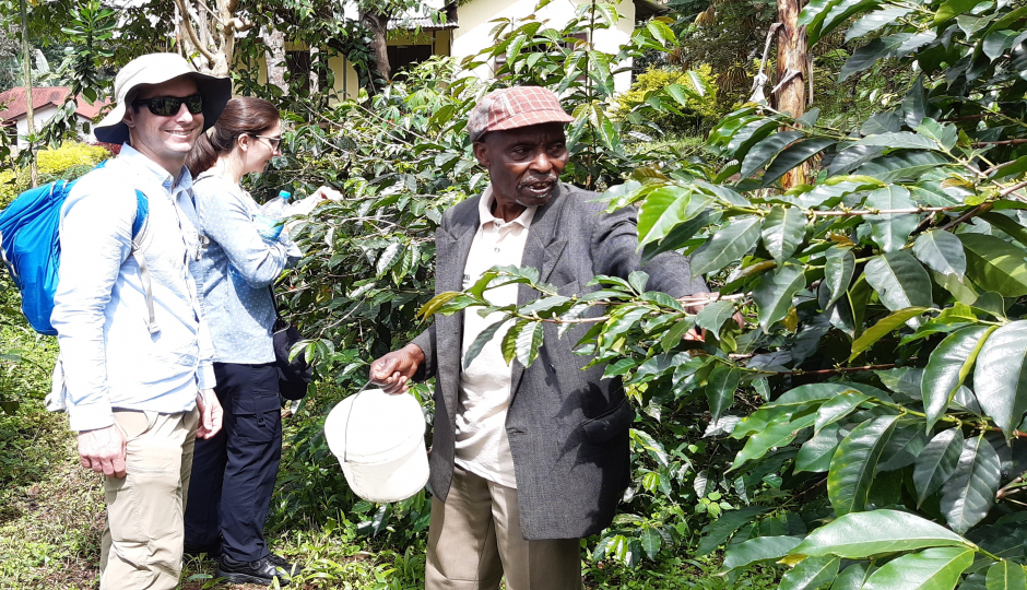 Tanzania Safari: Uru Shimbwe Coffee Day Tour