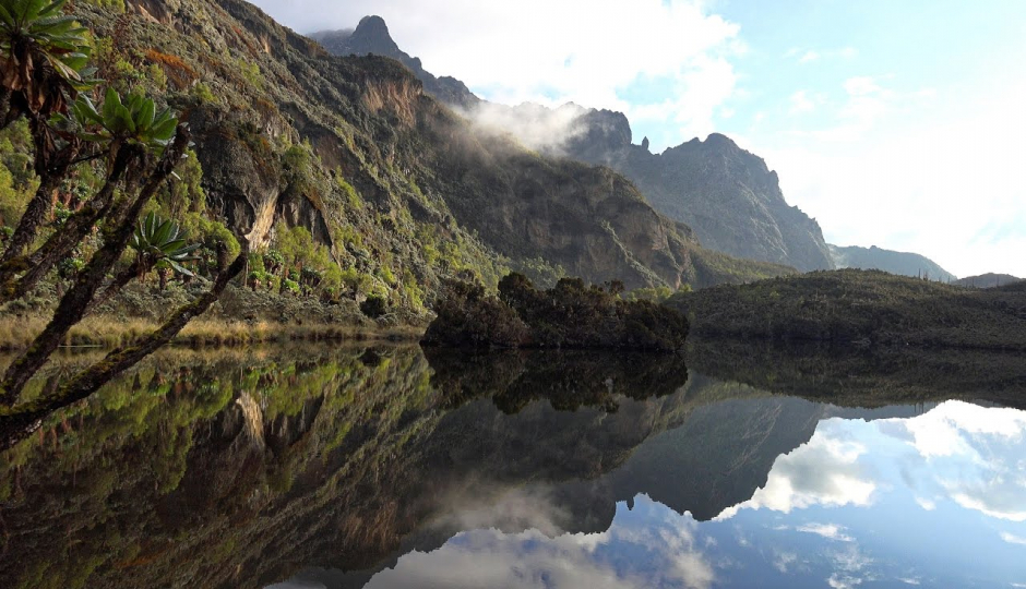 Random image number 1 showcasing tanzania safari image gallery placeholder