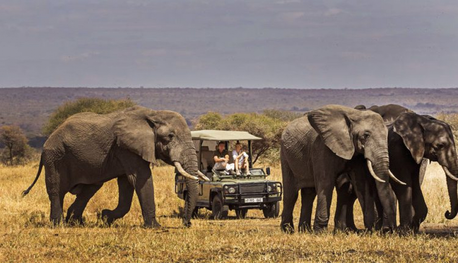 Random image number 6 showcasing tanzania safari image gallery placeholder