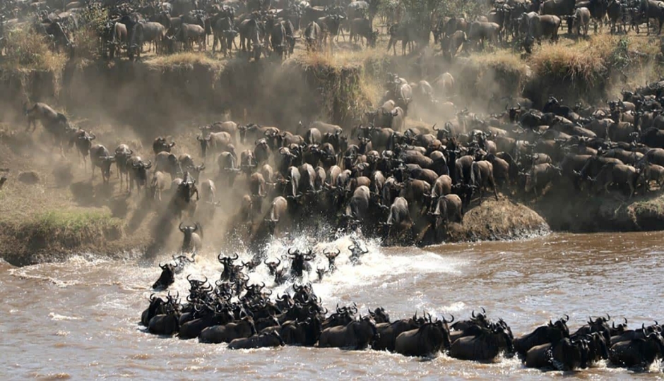 Thumb Nail Image: 5 Why a Guided Safari Still Beats Self-Drive: Stories From the Bush