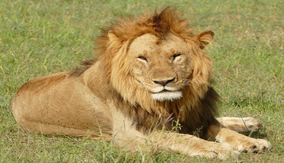 Actual image number 3 for slideshow images, displaying 23 tanzania safari images