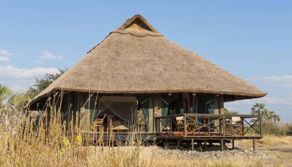 Actual image number 8 for slideshow images, displaying 28 tanzania safari images