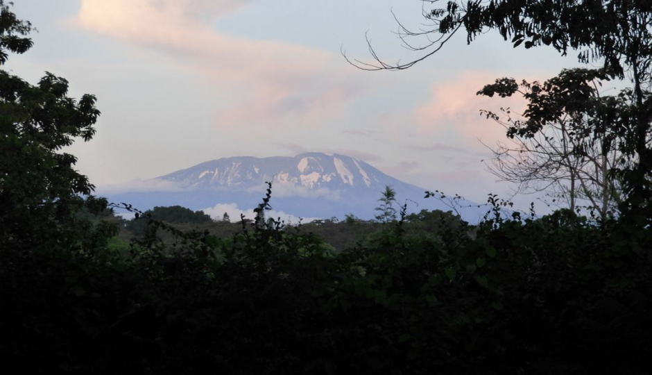 Random image number 1 showcasing tanzania safari image gallery placeholder