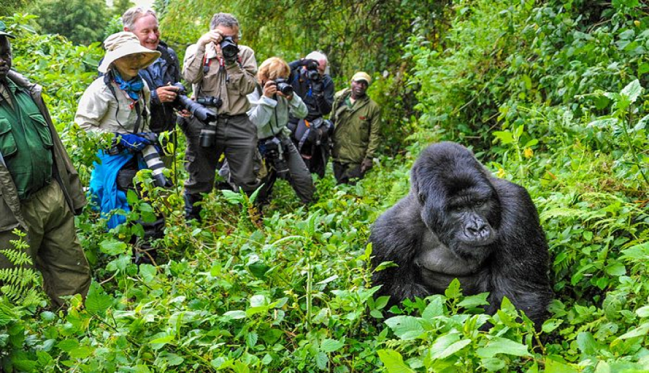 Actual image number 14 for slideshow images, displaying 34 tanzania safari images