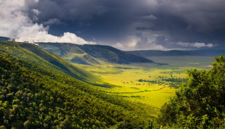 Actual image number 14 for slideshow images, displaying 34 tanzania safari images