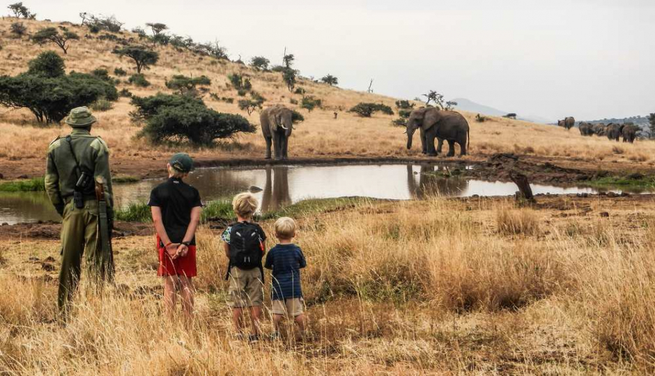 Actual image number 8 for slideshow images, displaying 28 tanzania safari images