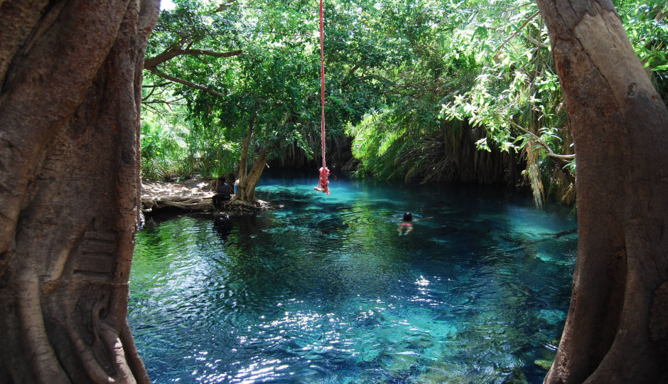Tanzania Safari: Kikuletwa Hot Springs Day Trip: A Hidden Oasis in Tanzania