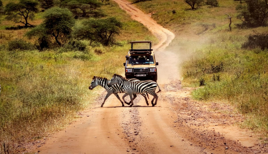 Random image number 3 showcasing tanzania safari image gallery placeholder