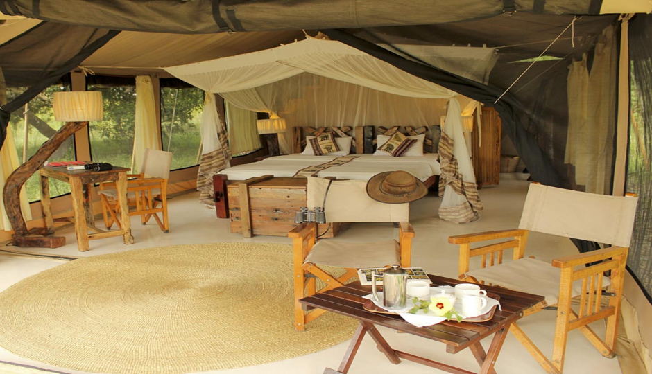 Actual image number 12 for slideshow images, displaying 32 tanzania safari images