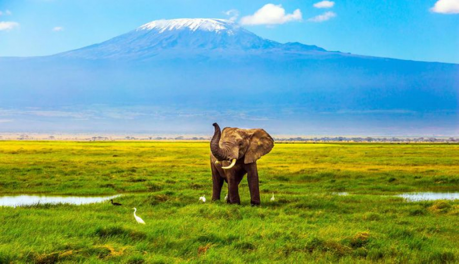 Actual image number 7 for slideshow images, displaying 27 tanzania safari images