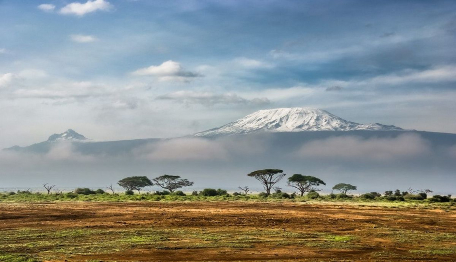 Random image number 2 showcasing tanzania safari image gallery placeholder