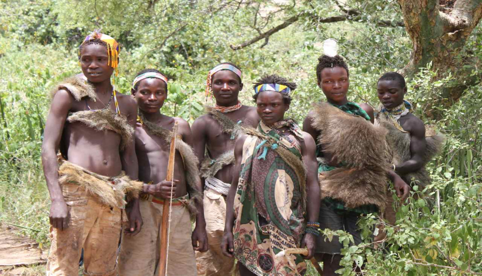 Actual image number 13 for slideshow images, displaying 33 tanzania safari images