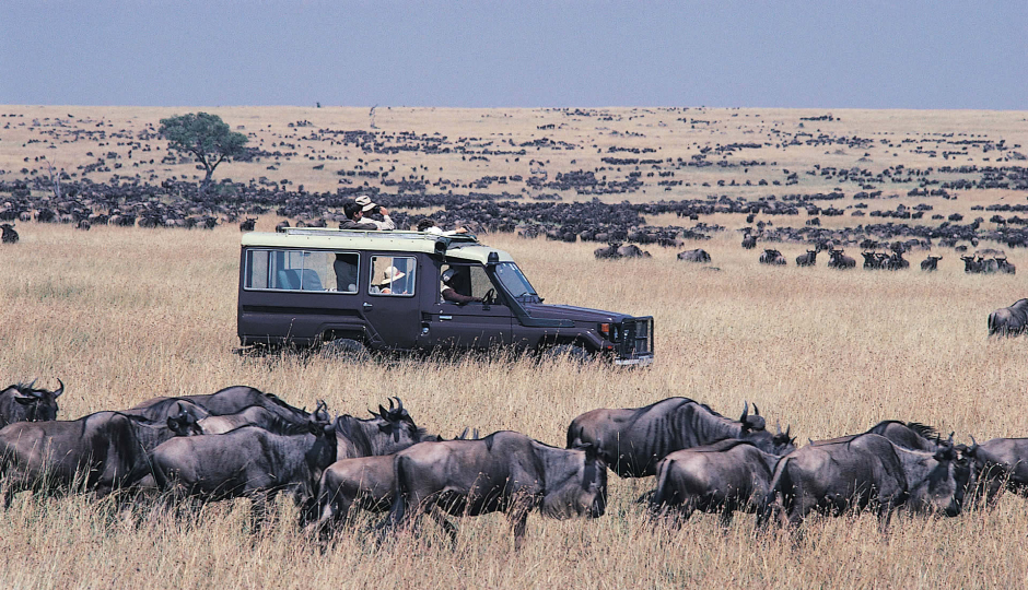 Actual image number 14 for slideshow images, displaying 34 tanzania safari images