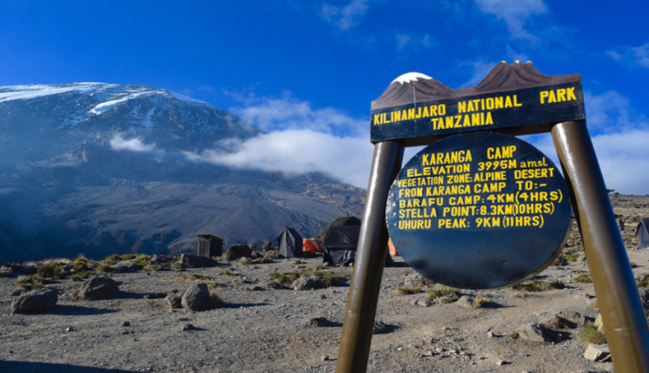 Random image number 1 showcasing tanzania safari image gallery placeholder