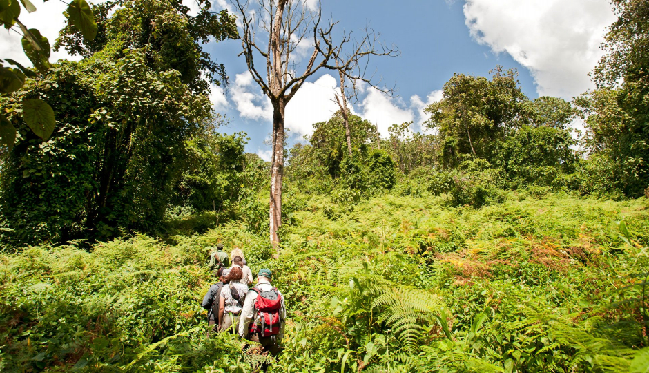 Image for Mahale Mountains National Park