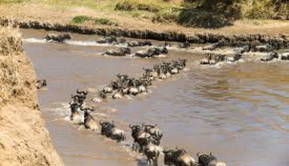 Actual image number 18 for slideshow images, displaying 38 tanzania safari images