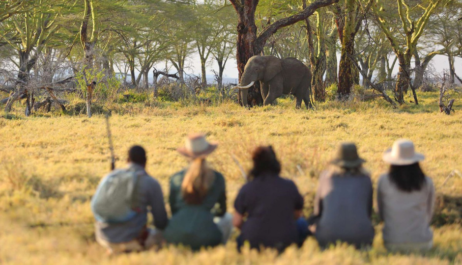 Actual image number 2 for slideshow images, displaying 22 tanzania safari images