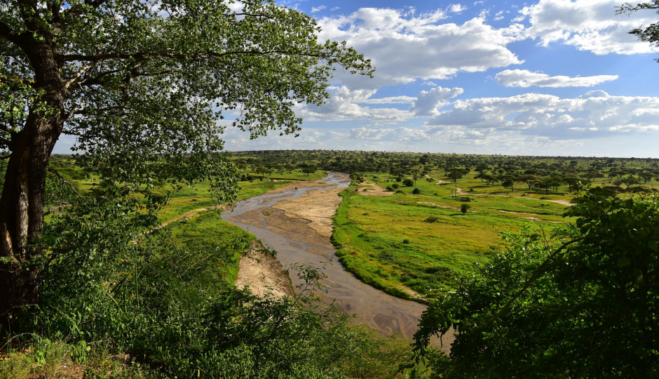 Actual image number 19 for slideshow images, displaying 39 tanzania safari images