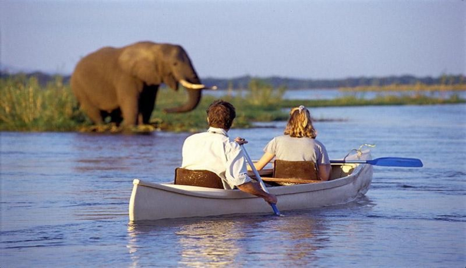 Actual image number 4 for slideshow images, displaying 24 tanzania safari images