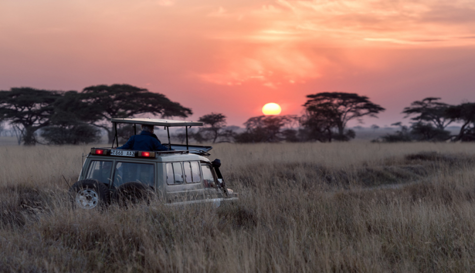 Actual image number 3 for slideshow images, displaying 23 tanzania safari images