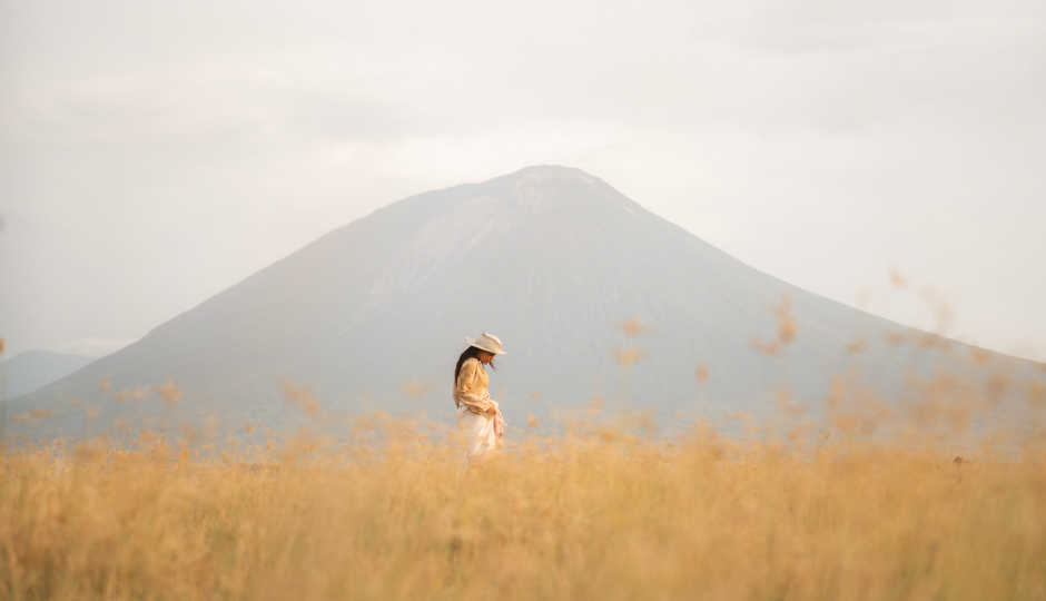 Actual image number 9 for slideshow images, displaying 29 tanzania safari images