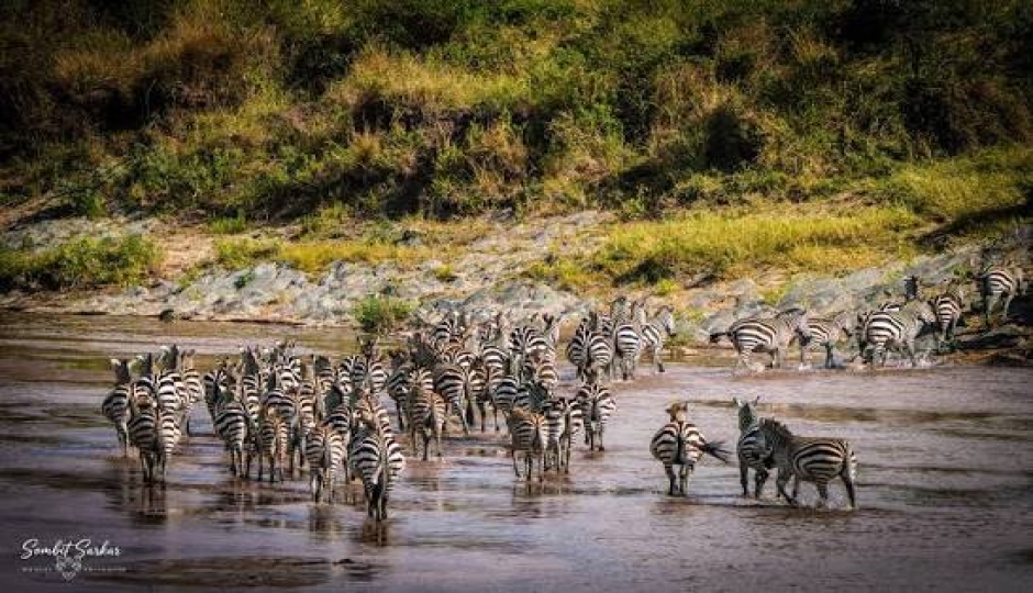 Actual image number 19 for slideshow images, displaying 39 tanzania safari images