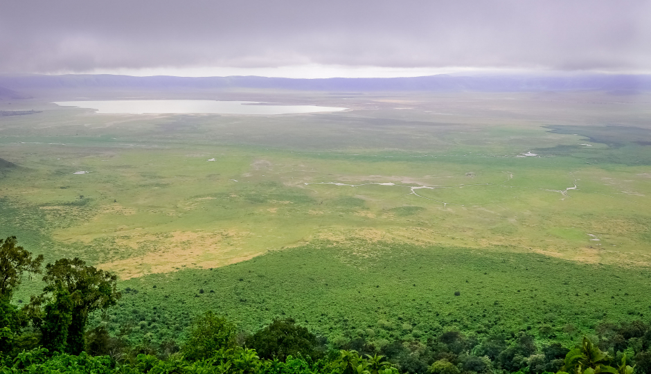 Random image number 2 showcasing tanzania safari image gallery placeholder
