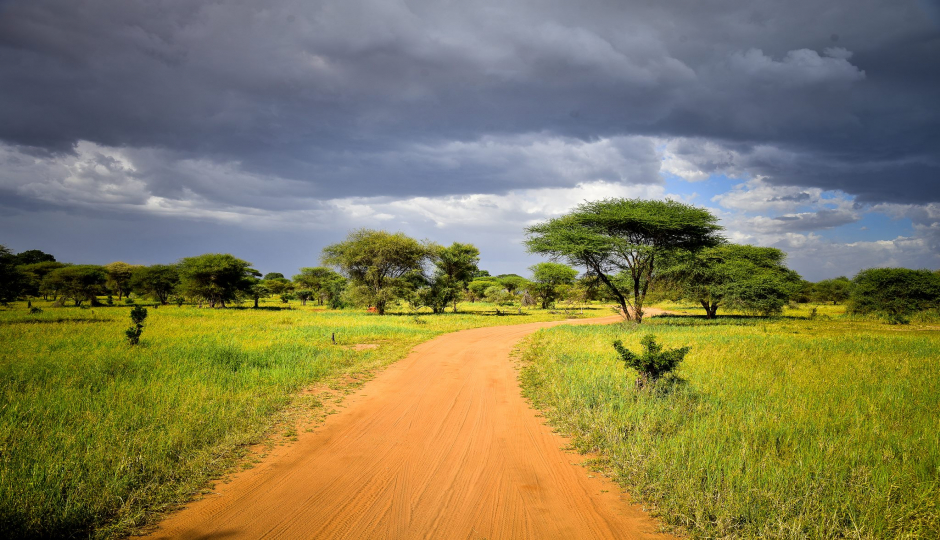 Actual image number 18 for slideshow images, displaying 38 tanzania safari images