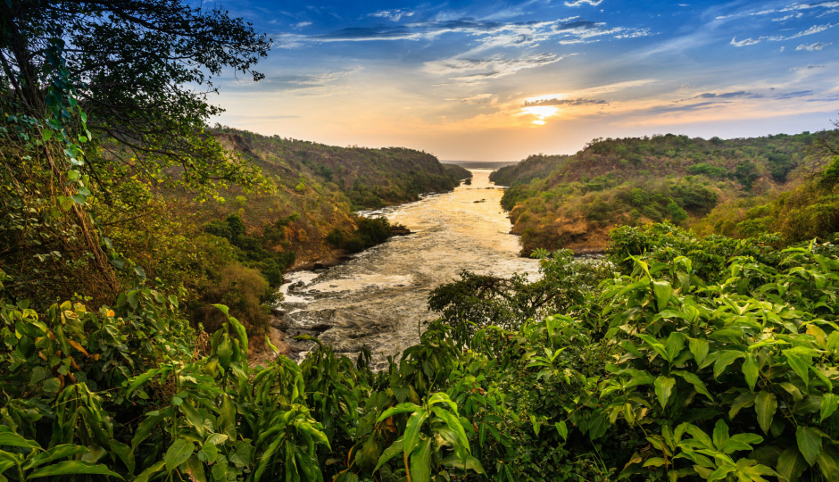 Random image number 3 showcasing tanzania safari image gallery placeholder