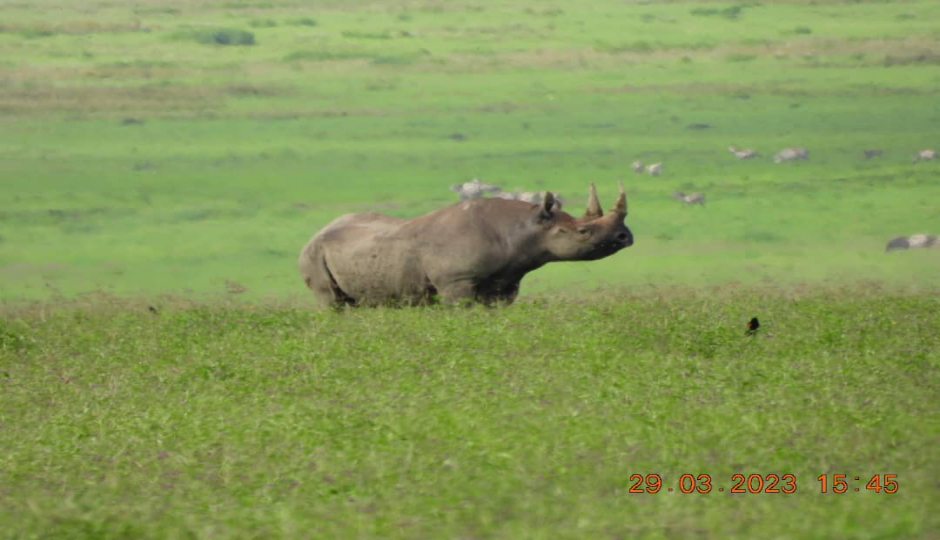 Actual image number 5 for slideshow images, displaying 25 tanzania safari images