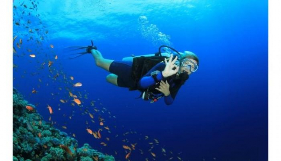 Thumb Nail Image: 5 How to find Things & Places to Visit in Zanzibar Island